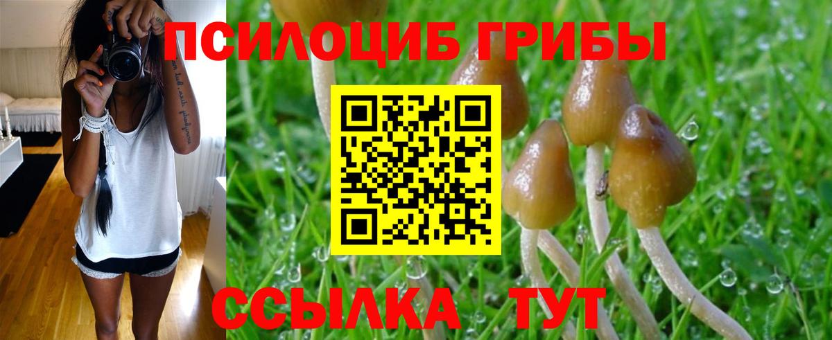 Псилоцибиновые грибы MAGIC MUSHROOMS Ялта